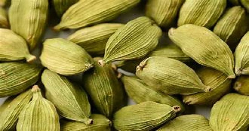 Cardamom